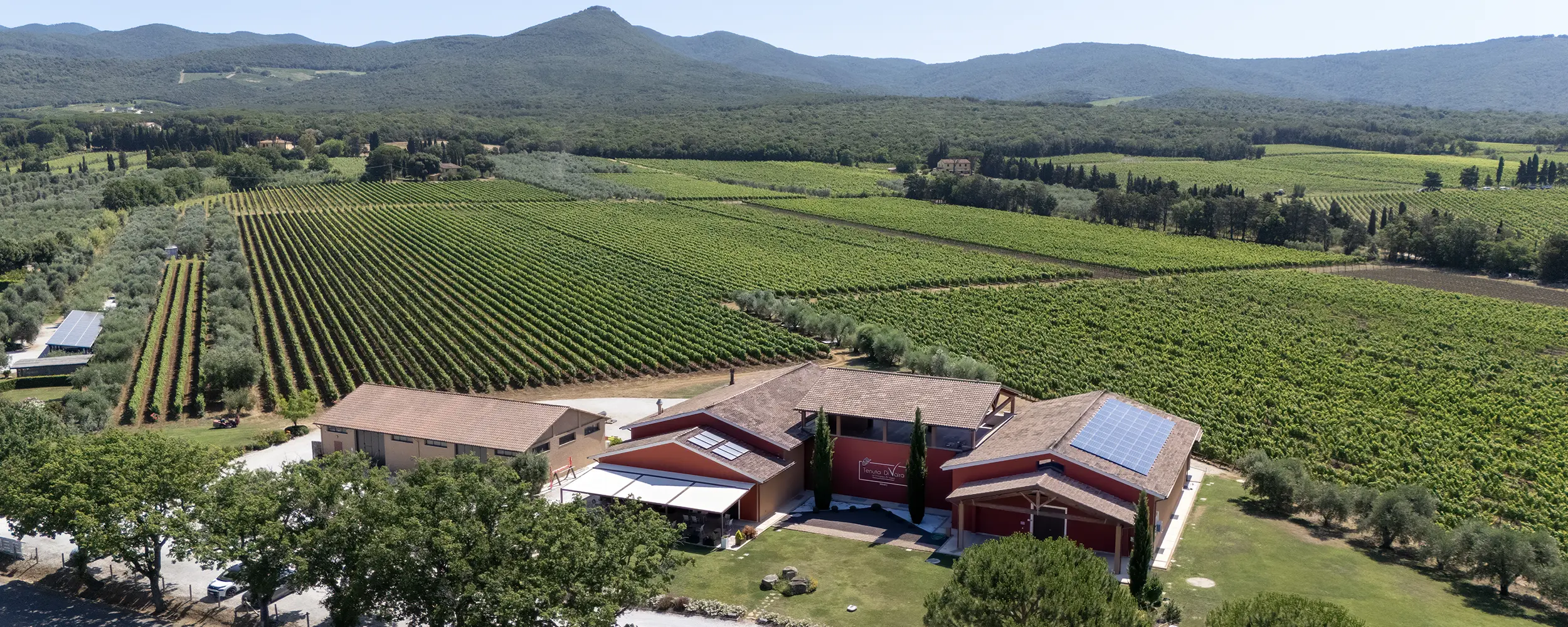 Cantina Tenuta Di Vaira a Bolgheri