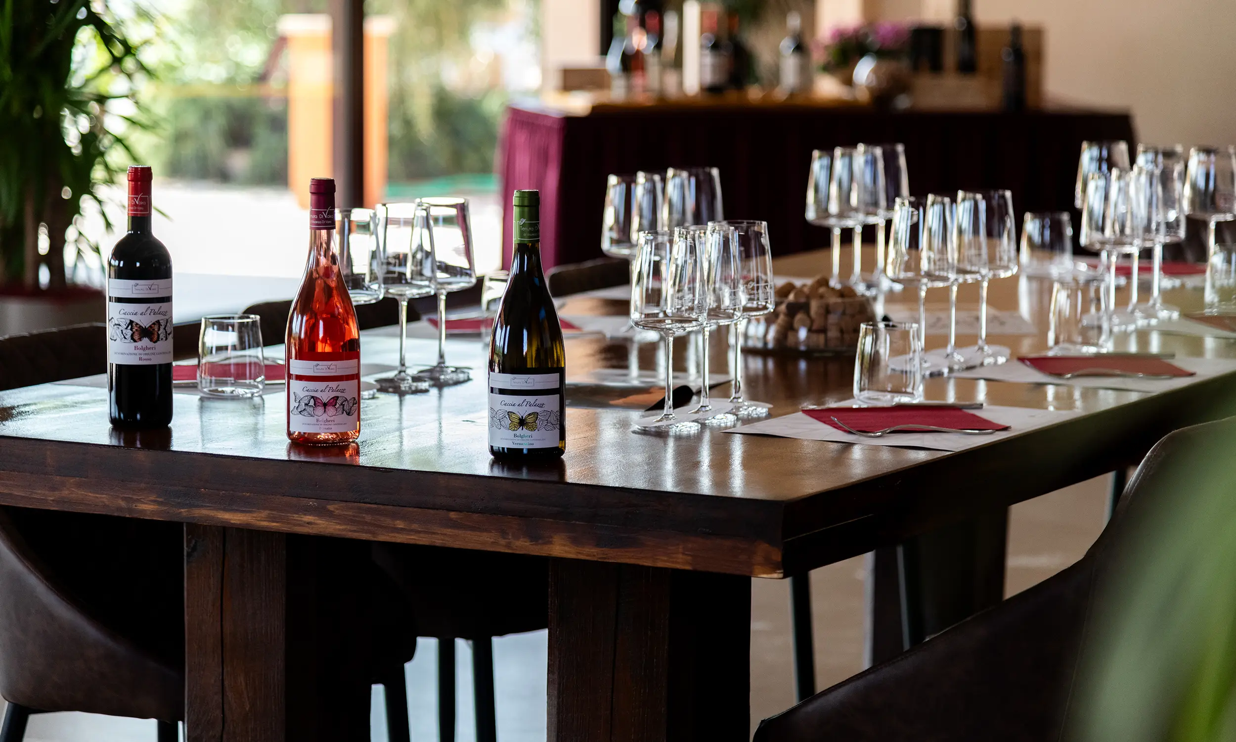 Visita la cantina Tenuta Di Vaira