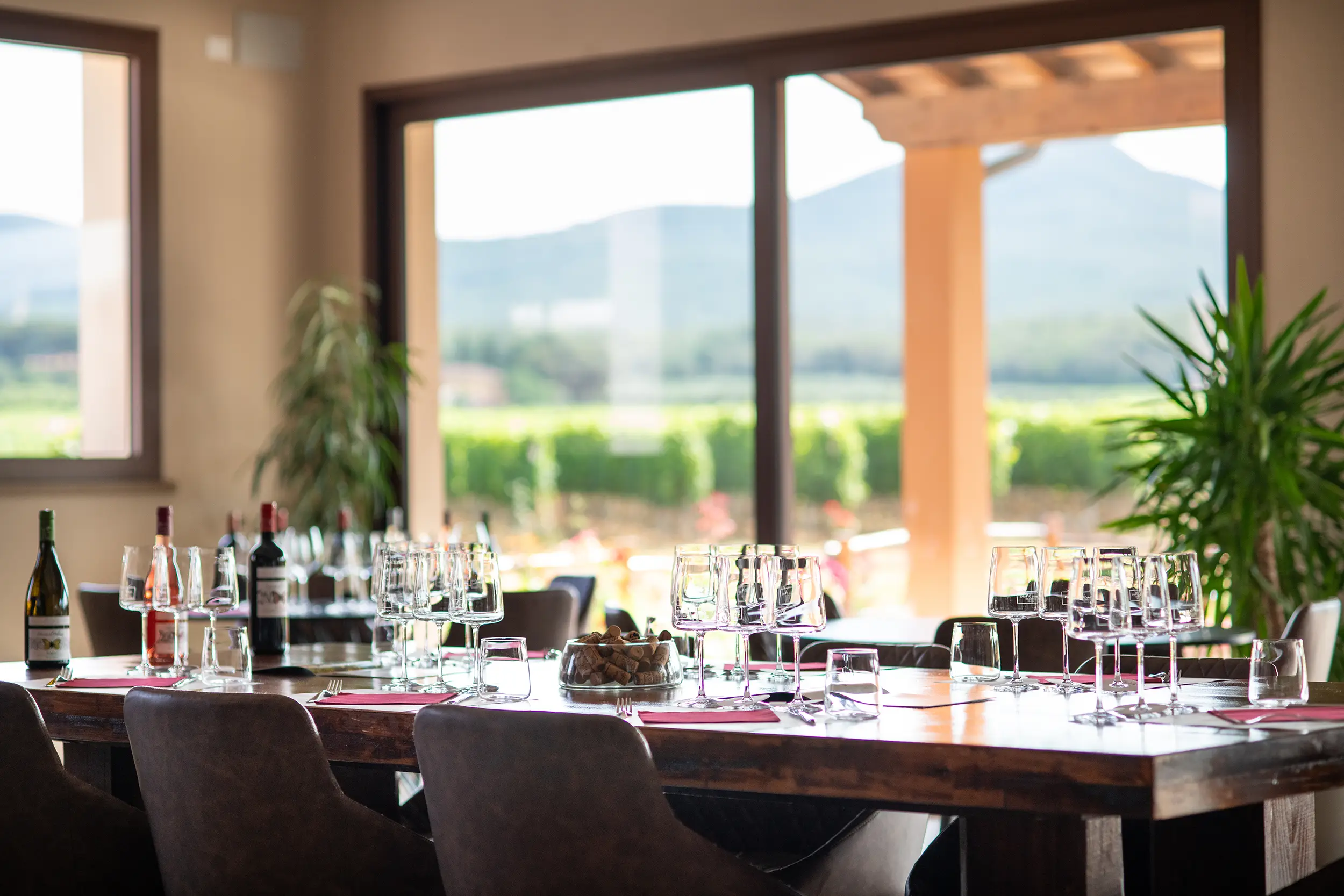 Visite in cantina Tenuta Di Vaira