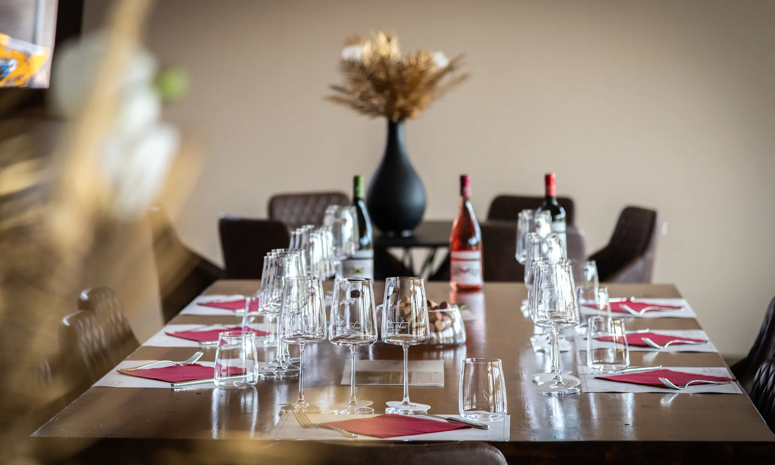 Visita la cantina Tenuta Di Vaira a Bolgheri