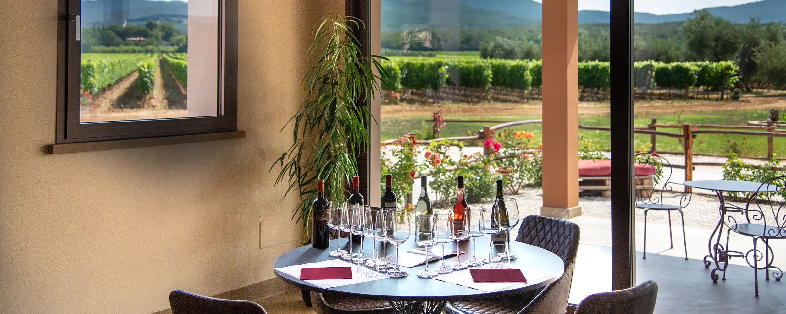 Esperienza di visita in cantina Tenuta Di Vaira