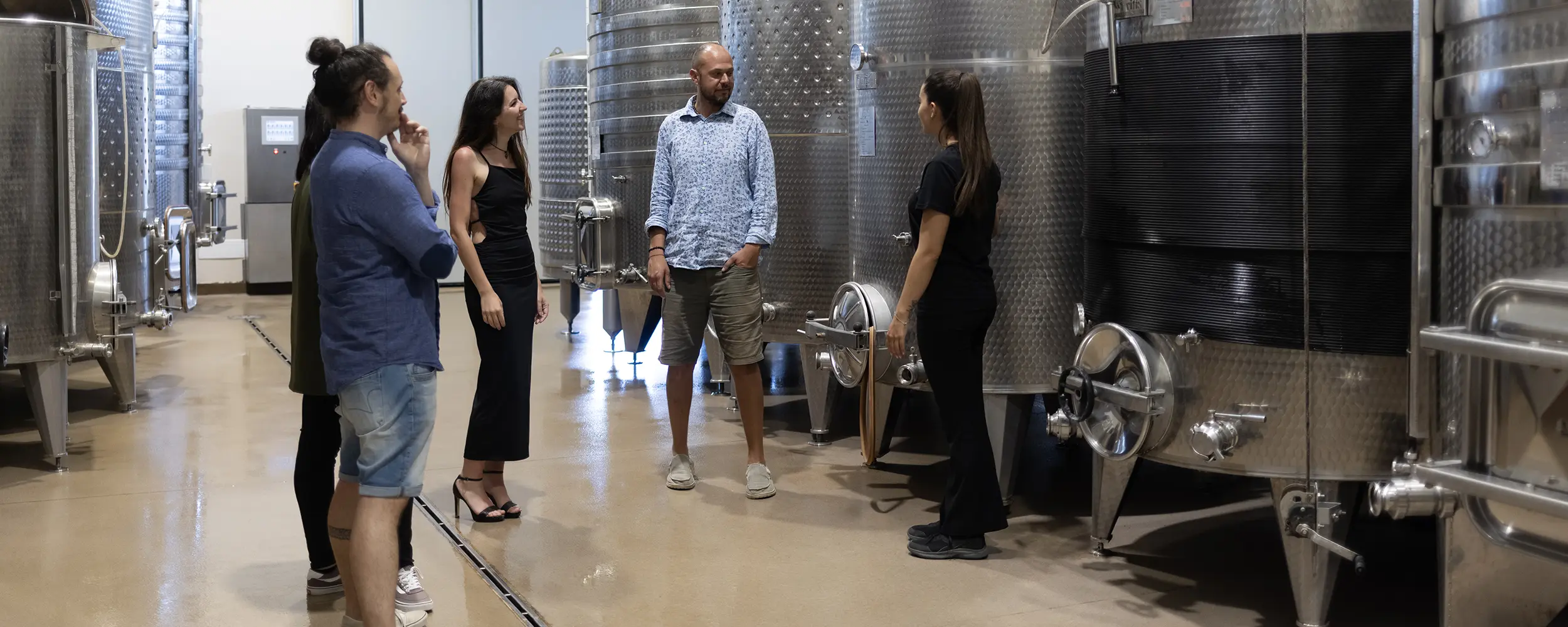Tenuta Di Vaira nel cuore di Bolgheri