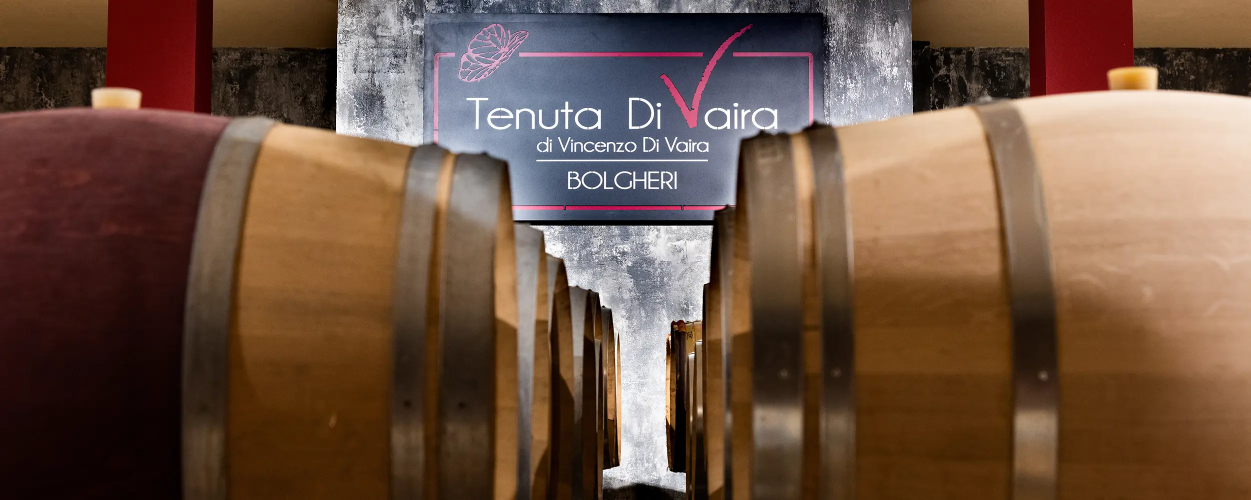 Picnic tra i vigneti di Bolgheri
