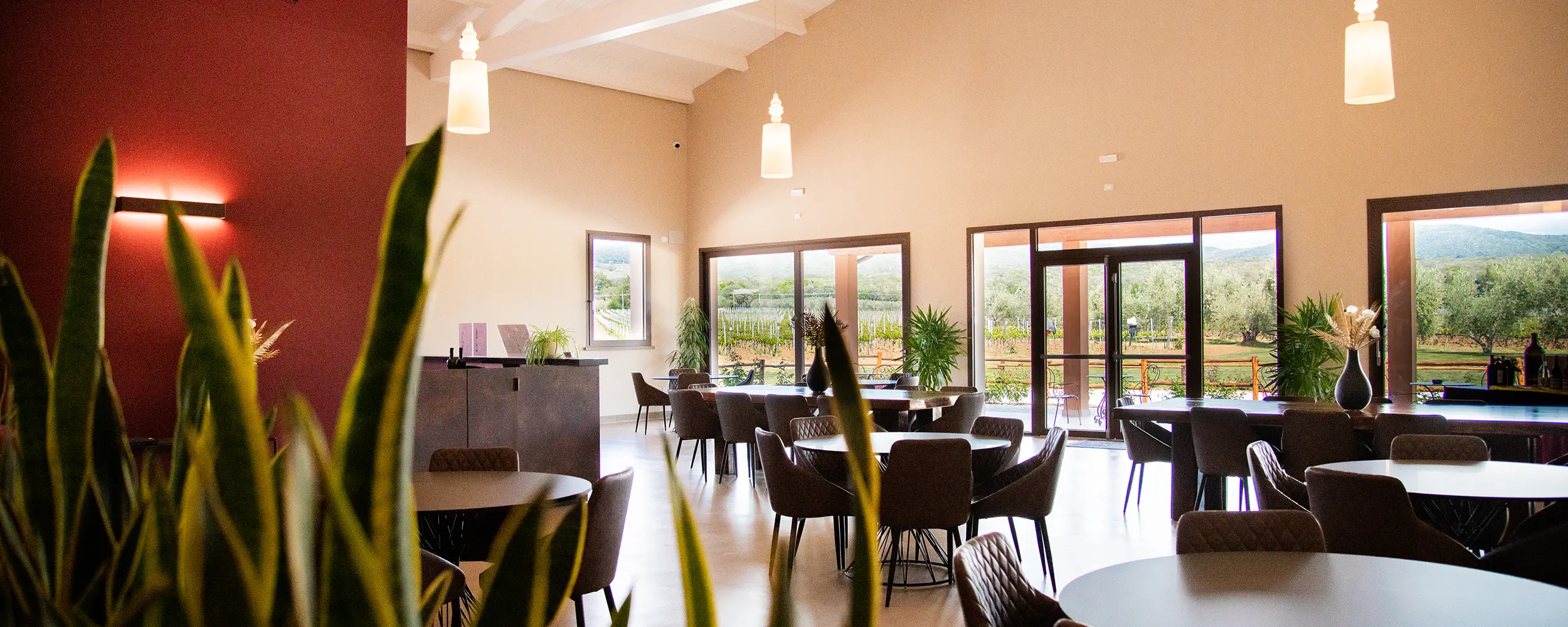 Visita guidata Tenuta Di Vaira